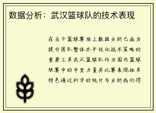 数据分析：武汉篮球队的技术表现